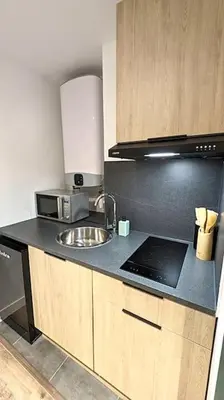 Cuisine ou kitchenette dans l'établissement Le Jungle 2ème Étage