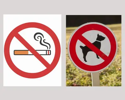 Certificat, récompense, panneau ou autre document affiché dans l'établissement L'Hortillon Amiens 4 pers 8min Centre ville & Gare