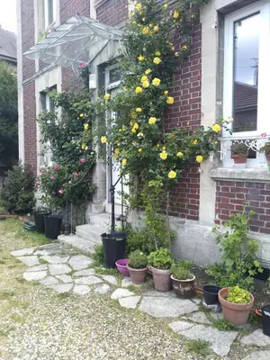 Jardin de l'établissement Spring room