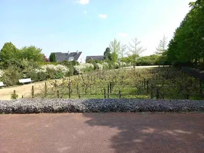 Jardin de l'établissement Le Domaine Réservé , parking et écrin de verdure