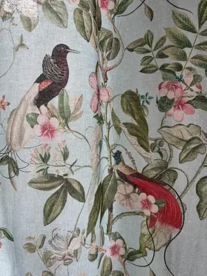 Plan de l'établissement chambre aux oiseaux