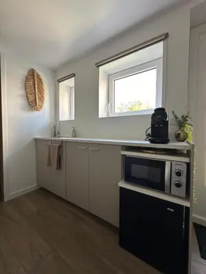 Cuisine ou kitchenette dans l'établissement Joli studio cosy indépendant