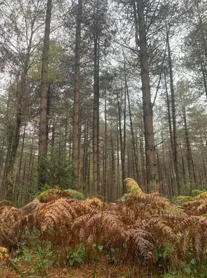 Paysage naturel près de la maison de vacances