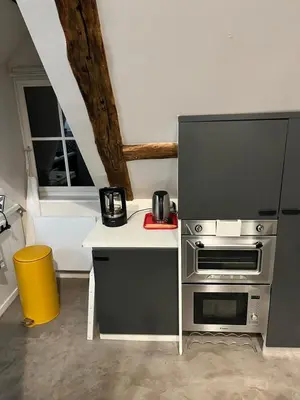 Cuisine ou kitchenette dans l'établissement Duplex à Senlis