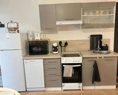 Cuisine ou kitchenette dans l'établissement Studio cosy en centre-ville