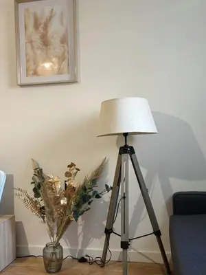 Plan de l'établissement Studio cosy en centre-ville