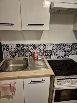 Cuisine ou kitchenette dans l'établissement Charmant studio proche de Rouen