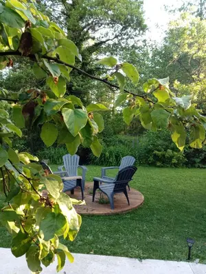 Jardin de l'établissement Le Murmure de la petite Oasis