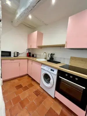 Cuisine ou kitchenette dans l'établissement La Rose de Vert