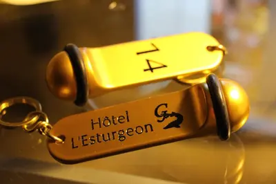 Plan de l'établissement Hôtel L'Esturgeon