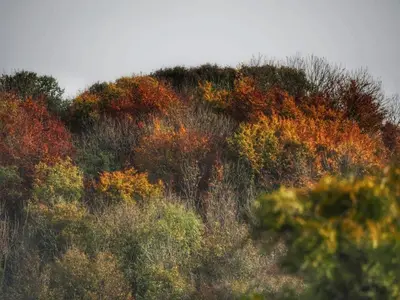 Paysage naturel près de l'appartement