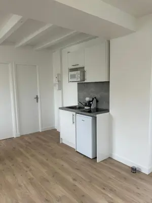 Cuisine ou kitchenette dans l'établissement Appart hôtel Doumer