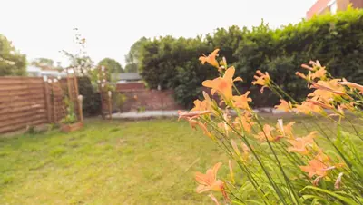 Jardin de l'établissement Maison des Compagnons