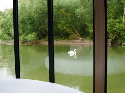 Vue sur la rivière ou le fleuve situé(e) à proximité de l'hôtel