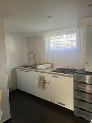 Cuisine ou kitchenette dans l'établissement Maison bord de Seine