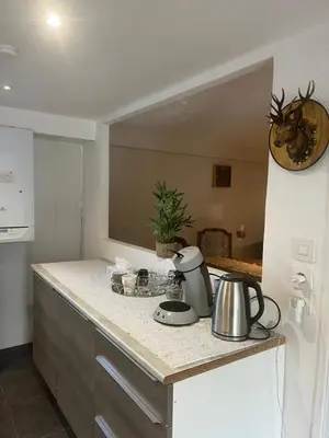 Cuisine ou kitchenette dans l'établissement Maison bord de Seine