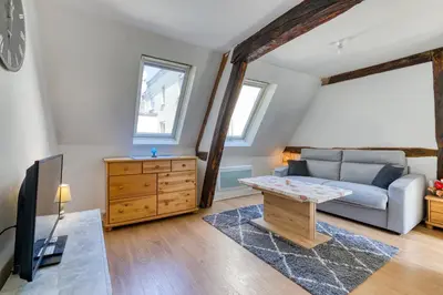 Télévision ou salle de divertissement dans l'établissement Appartement dans l'hypercentre de Rouen