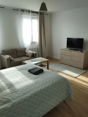 Télévision ou salle de divertissement dans l'établissement Appartement Cosy proche de Rouen