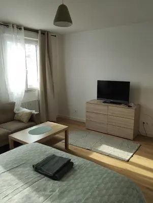 Télévision ou salle de divertissement dans l'établissement Appartement Cosy proche de Rouen