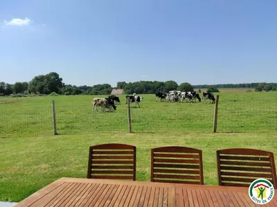 Animaux dans la maison de vacances ou à proximité