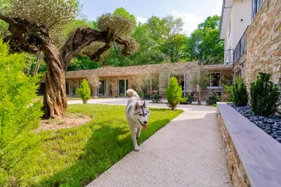 Jardin de l'établissement Chanelya - Havre de Paix au Coeur de la Forêt