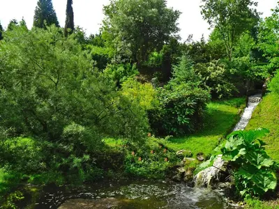 Paysage naturel près de la maison de vacances
