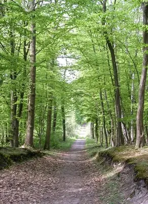 Paysage naturel près de l'appartement