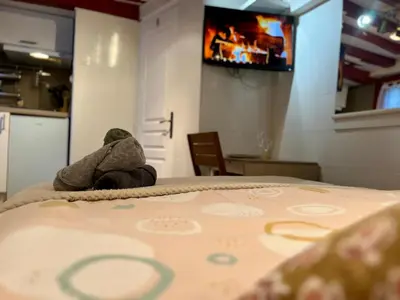 Télévision ou salle de divertissement dans l'établissement Tout à pied ! Gare & Vieux Rouen - 367