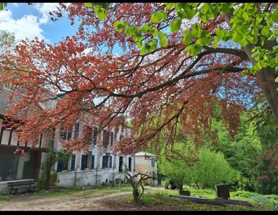 Jardin de l'établissement La maison du bout d en haut