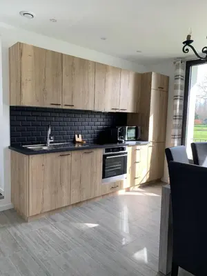 Cuisine ou kitchenette dans l'établissement Appartement Le Domaine De Louis