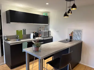Cuisine ou kitchenette dans l'établissement Appartement contemporain