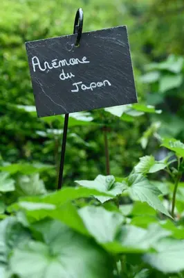 Jardin de l'établissement La maison du 1, Vexin