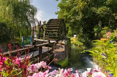 Jardin de l'établissement Gîte au cœur de la nature