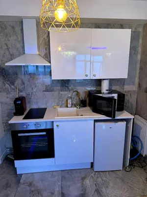 Cuisine ou kitchenette dans l'établissement Golden house 2 - Jacuzzi