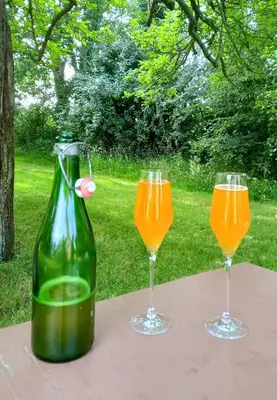 Boissons dans l'établissement Petite maison et grand jardin Wifi Mer a 20 minutes