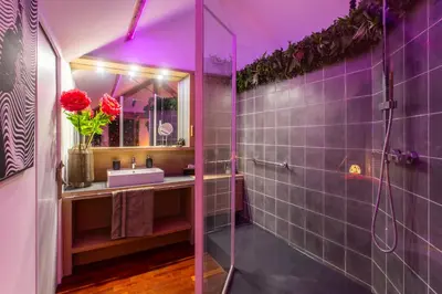 Salle de bains dans l'établissement Suite Romantique 45m2-Amiens Centre-SPA & Parking