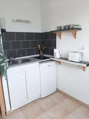 Cuisine ou kitchenette dans l'établissement proche aéroport a pied O fleuri