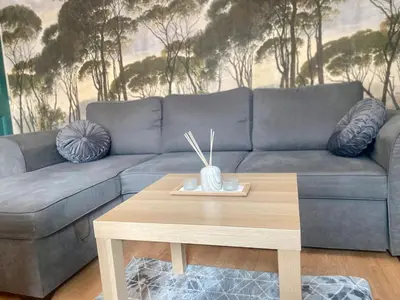 Coin salon dans l'établissement T3 cosy à 8 min de Rouen centre