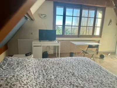 Télévision ou salle de divertissement dans l'établissement Grande Maison dans la nature et le calme