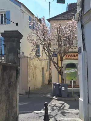 Quartier de l'appartement ou autre quartier proche