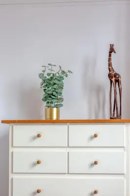 Plan de l'établissement Les agapanthes jolie maison de ville à Rouen avec extérieur terrasse