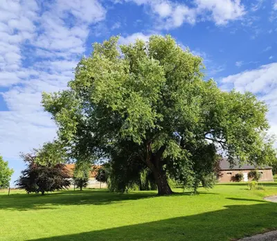 Jardin de l'établissement Beau soleil
