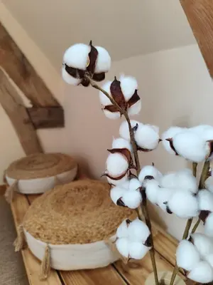 L'établissement Beau soleil en hiver