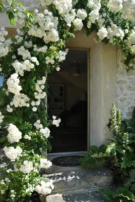 Jardin de l'établissement Cottage Les Quatre Saisons