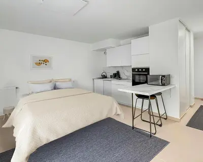 Cuisine ou kitchenette dans l'établissement Studio moderne avec terrasse privée et parking