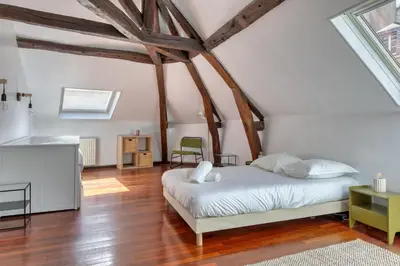 Un ou plusieurs lits dans un hébergement de l'établissement Geoffroy sublime duplex à proximité de la place du vieux marché