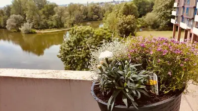Vue sur la rivière ou le fleuve situé(e) à proximité de l'appartement