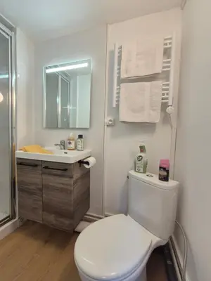 Salle de bains dans l'établissement Studio Rouen Hypercentre 2 personnes Le Terracotta