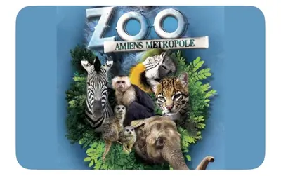 Animaux dans l'appartement ou à proximité
