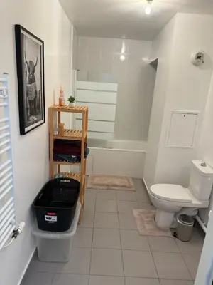 Salle de bains dans l'établissement Cosy apartment near Paris